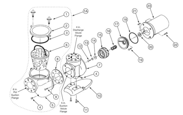 parts of a pool pump